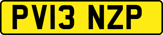 PV13NZP