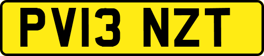 PV13NZT