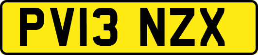 PV13NZX