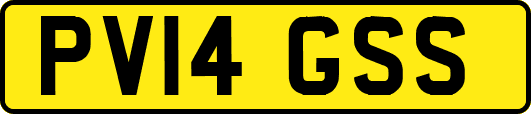 PV14GSS