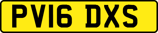 PV16DXS