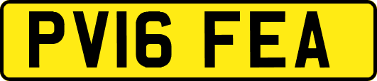 PV16FEA