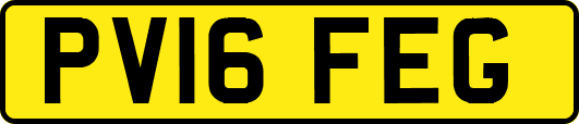 PV16FEG