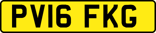 PV16FKG