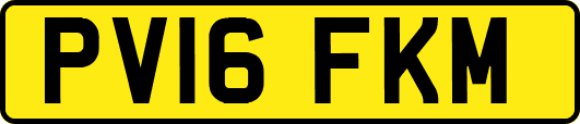 PV16FKM