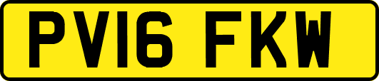 PV16FKW