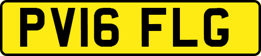 PV16FLG
