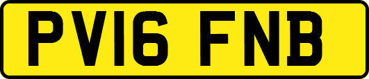PV16FNB
