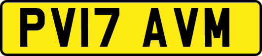 PV17AVM