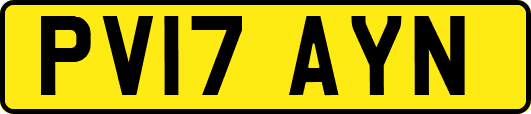 PV17AYN
