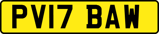 PV17BAW