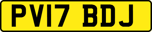 PV17BDJ