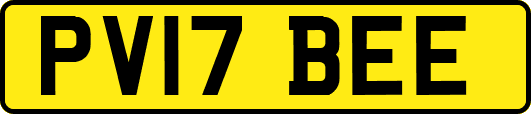 PV17BEE