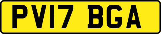 PV17BGA