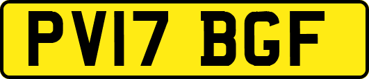 PV17BGF