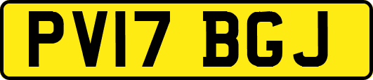 PV17BGJ
