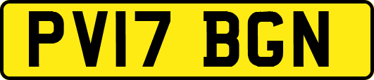 PV17BGN