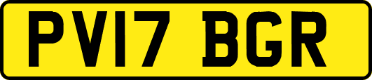 PV17BGR