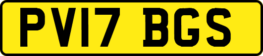 PV17BGS