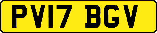 PV17BGV