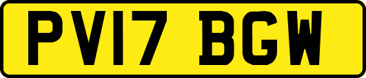 PV17BGW