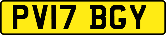 PV17BGY