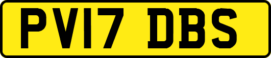 PV17DBS