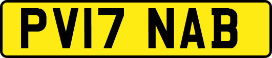 PV17NAB