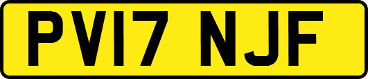 PV17NJF