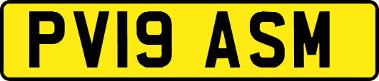 PV19ASM