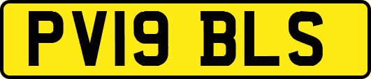 PV19BLS