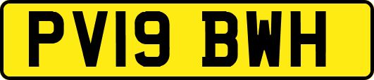 PV19BWH