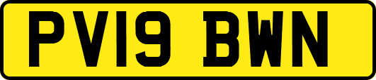 PV19BWN