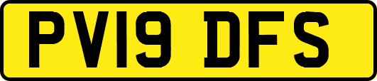 PV19DFS