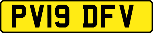 PV19DFV