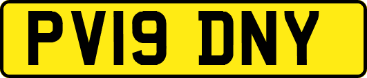 PV19DNY