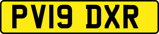 PV19DXR