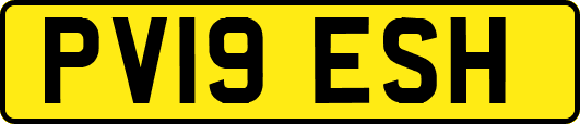 PV19ESH