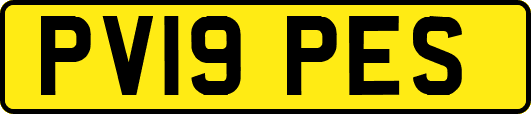 PV19PES