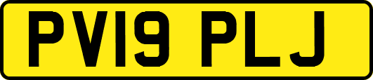 PV19PLJ
