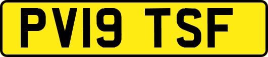 PV19TSF