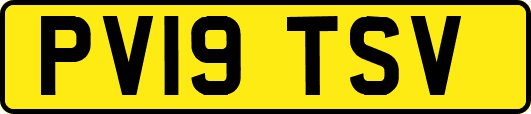 PV19TSV