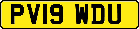 PV19WDU