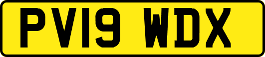 PV19WDX
