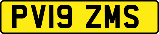 PV19ZMS