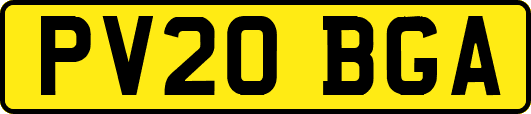 PV20BGA