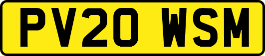 PV20WSM