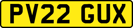 PV22GUX