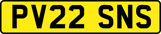 PV22SNS