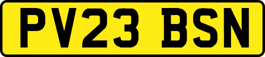 PV23BSN